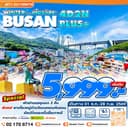 Busan Winter Plus 4D2N  