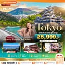 มหัศจรรย์...TOKYO มัตสึโมโต้ คามิโคจิ ฟูจิ ชินจูกุ 5 วัน 3 คืน