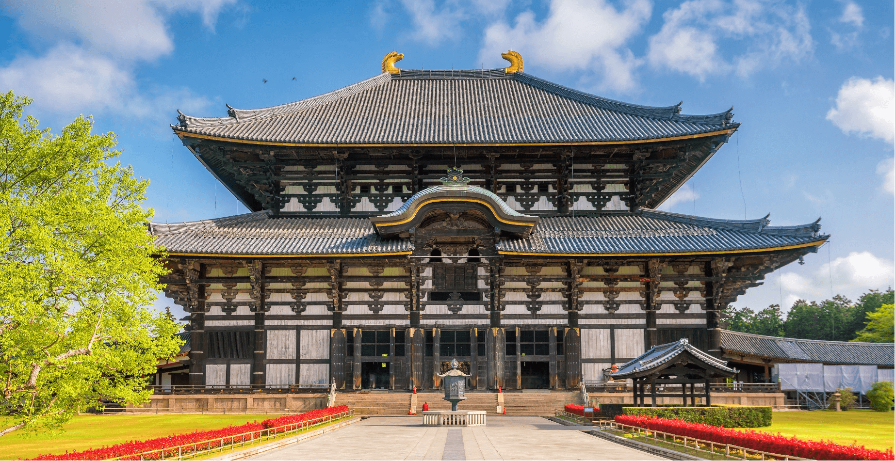 Beauty of two seasons… OSAKA KYOTO NARA 5 วัน 3 คืน 3