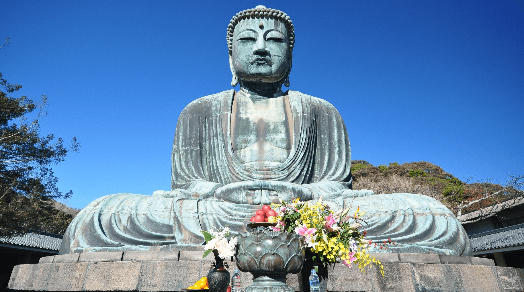 โปรนี้ต้องไป! TOKYO FUJI KAMAKURA ENOSHIMA 5 วัน 3 คืน 1
