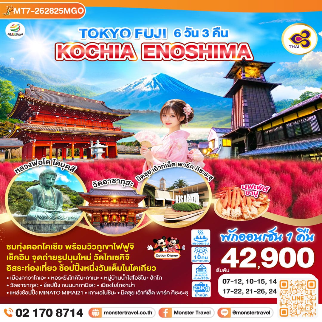 monster travel TOKYO FUJI KOCHIA ENOSHIMA 6D 3N