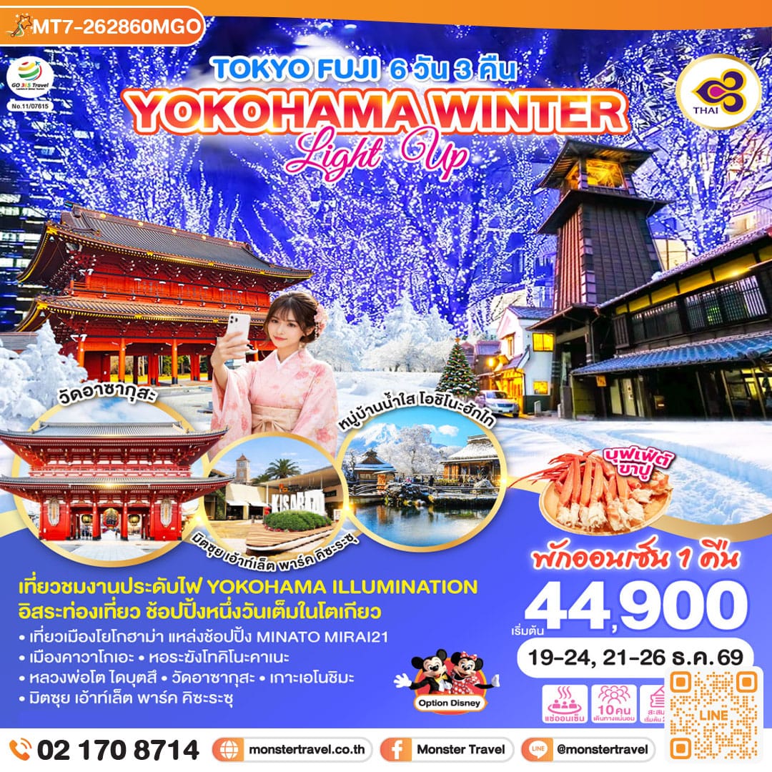 monster travel TOKYO FUJI YOKOHAMA WINTER LIGHT UP 6D 3N